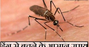 Easy Home Remedies to Avoid Dengue